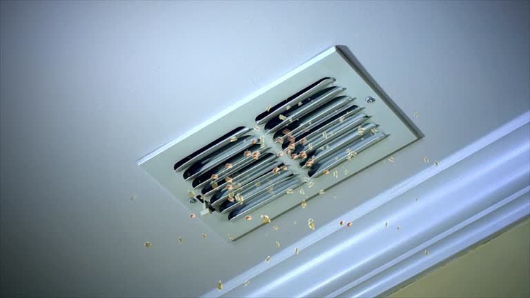 Best Residential Air Duct Cleaning  in Prairie Heights, WA
