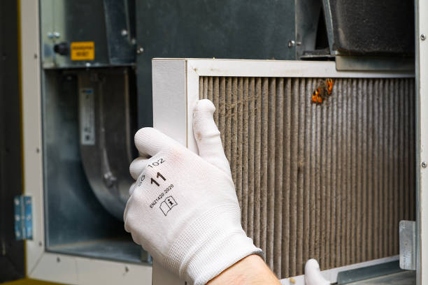 Best Affordable Air Duct Cleaning  in Prairie Heights, WA